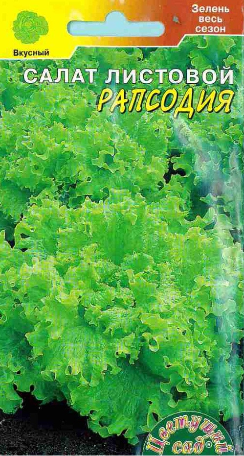 фото Семена Цветущий сад "Салат Рапсодия листовой", 0,5 г