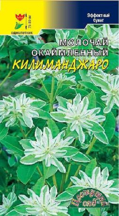 фото Семена Цветущий сад "Молочай Килиманджаро Эуфорбия", 0,2 г