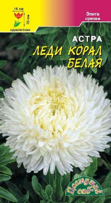 фото Семена Цветущий сад "Астра Леди Корал Белая", 0,1 г