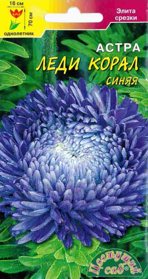 фото Семена Цветущий сад "Астра Леди Корал Синяя", 0,1 г