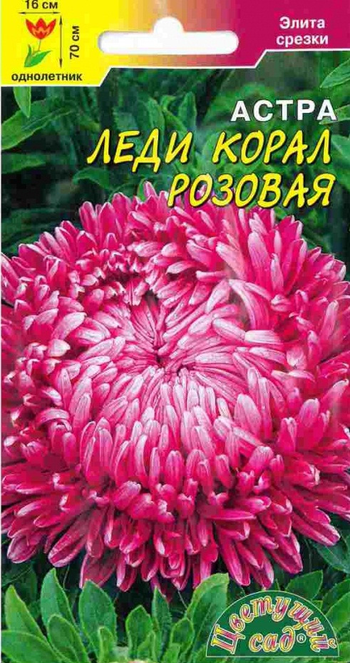 фото Семена Цветущий сад "Астра Леди Корал Розовая", 0,1 г