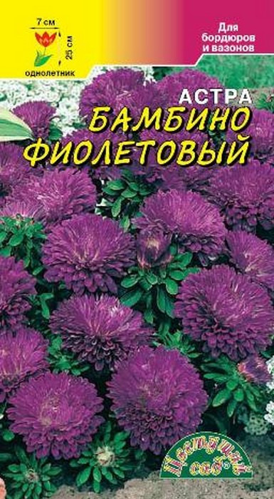 фото Семена Цветущий сад "Астра Бамбино Фиолетовый", 0,2 г
