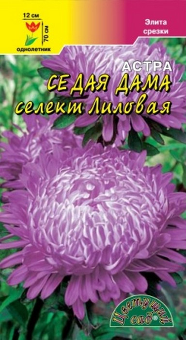 фото Семена Цветущий сад "Астра Седая дама лиловая", 0,1 г