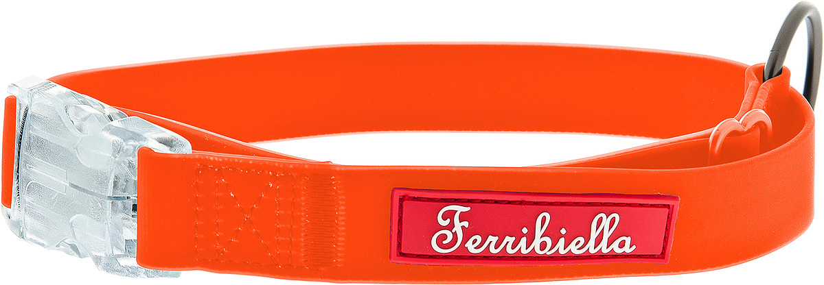 фото Ошейник для собак Ferribiella Collare Fun Flat, 47215, оранжевый, обхват шеи 20-30 см
