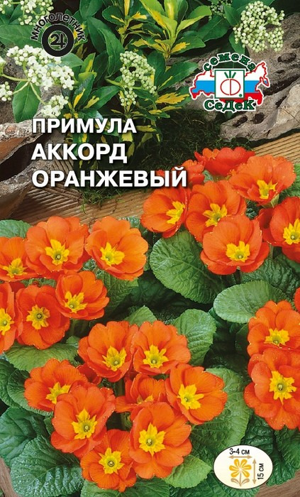 фото Семена Седек "Примула Аккорд оранжевый", 00000015023, 5 семян