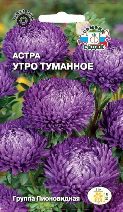 фото Семена Седек "Астра Утро туманное", 00000013958, 0,2 г