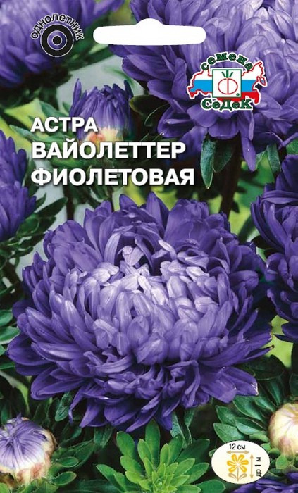 фото Семена Седек "Астра Вайолеттер фиолетовая", 00000016444, 0,2 г