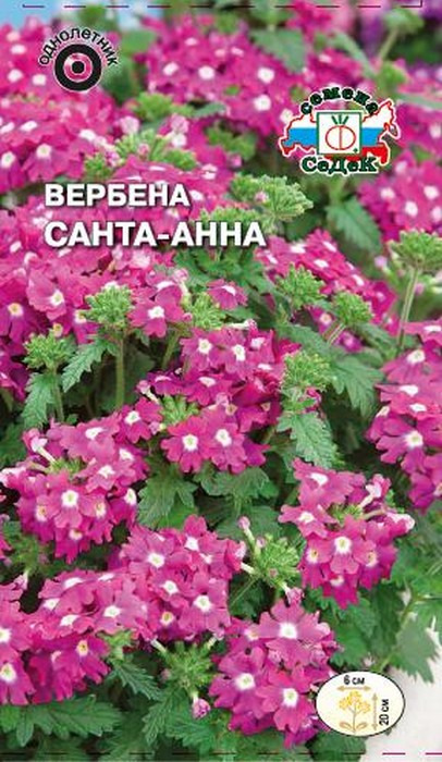 фото Семена Седек "Вербена Санта-Анна", 00000015039, 0,1 г