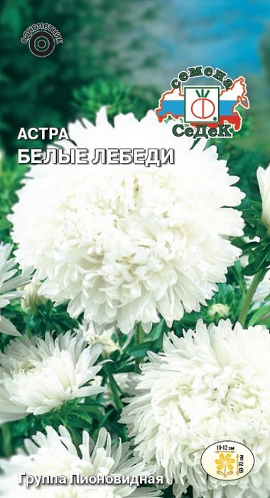 фото Семена Седек "Астра Белые лебеди", 00000015230, 0,2 г