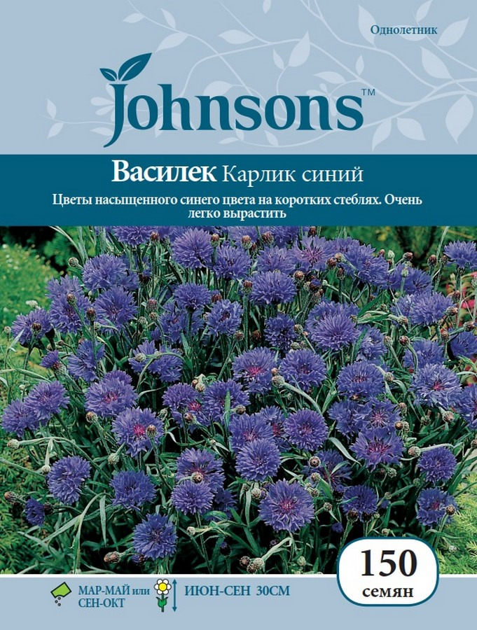 фото Семена Johnsons Василек Карлик синий, 16381, 150 семян Johnsons, англия