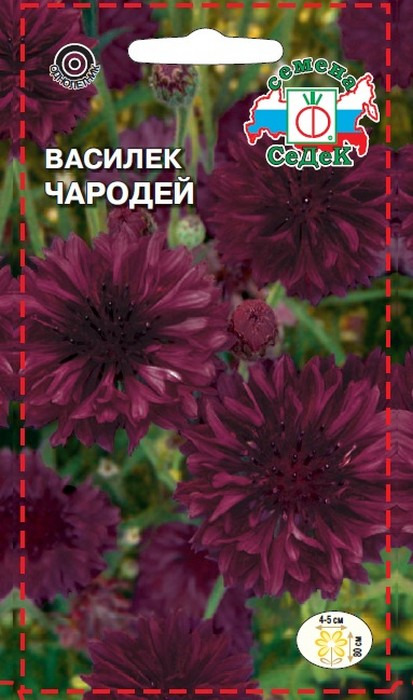 фото Семена Седек "Василек Чародей", 00000014094, 0,5 г