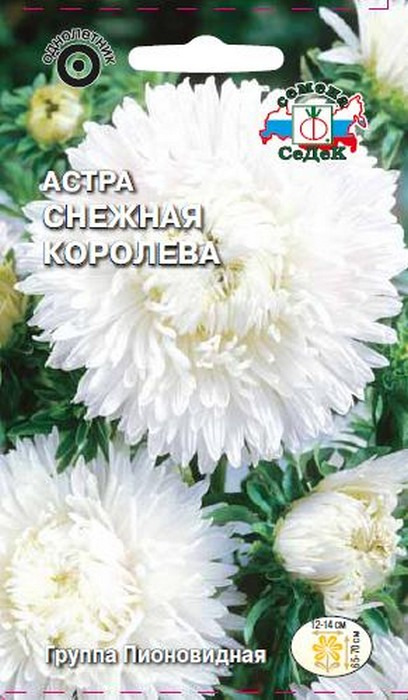 фото Семена Седек "Астра Снежная королева", 00000016070, 0,1 г