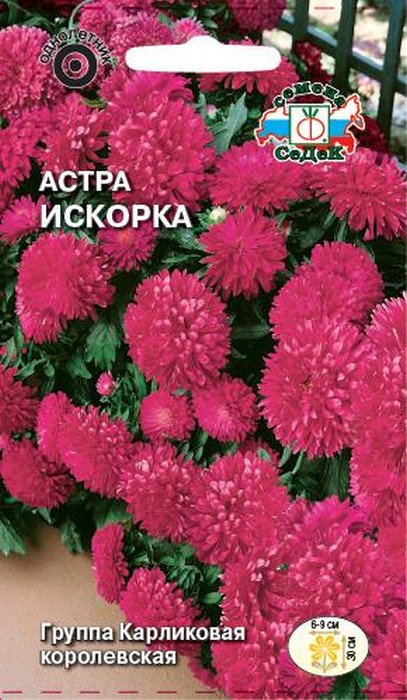 фото Семена Седек "Астра Искорка", 00000013809, 0,2 г