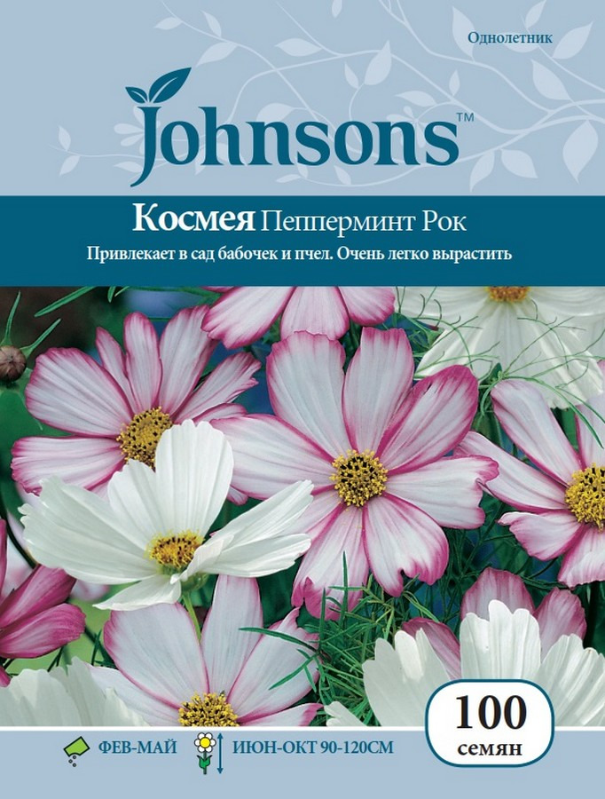 фото Семена Johnsons Космея Пепперминт Рок, 16896, 100 семян Johnsons, англия