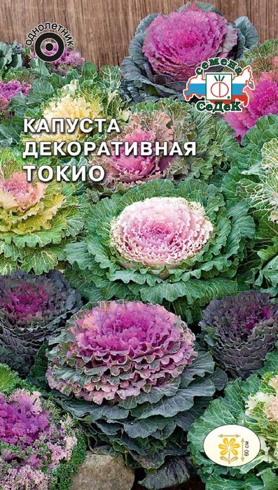 фото Семена Седек "Капуста декоративная Токио", 00000016315, 0,1 г