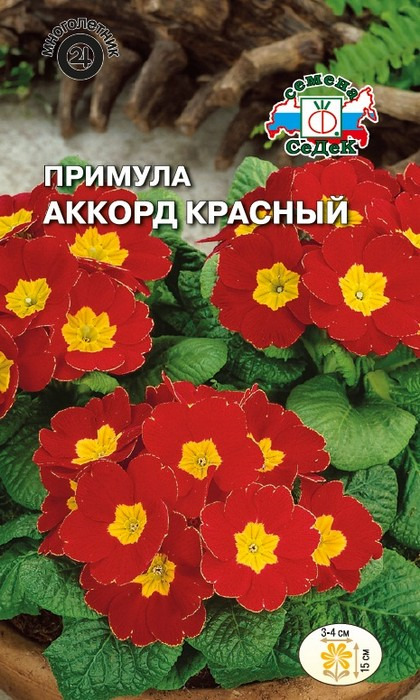 фото Семена Седек "Примула Аккорд красный", 00000015024, 5 семян