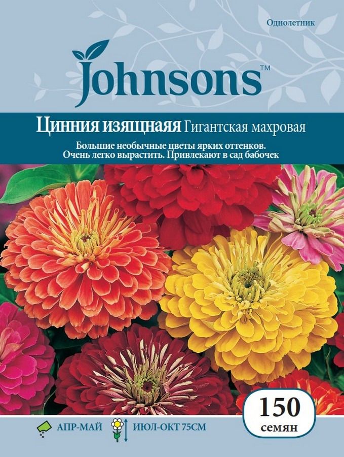 фото Семена Johnsons Цинния изящная Гигантская махровая, 12718, 150 семян Johnsons, англия