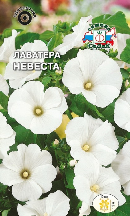 фото Семена Седек "Лаватера Невеста", 00000016587, 0,3 г