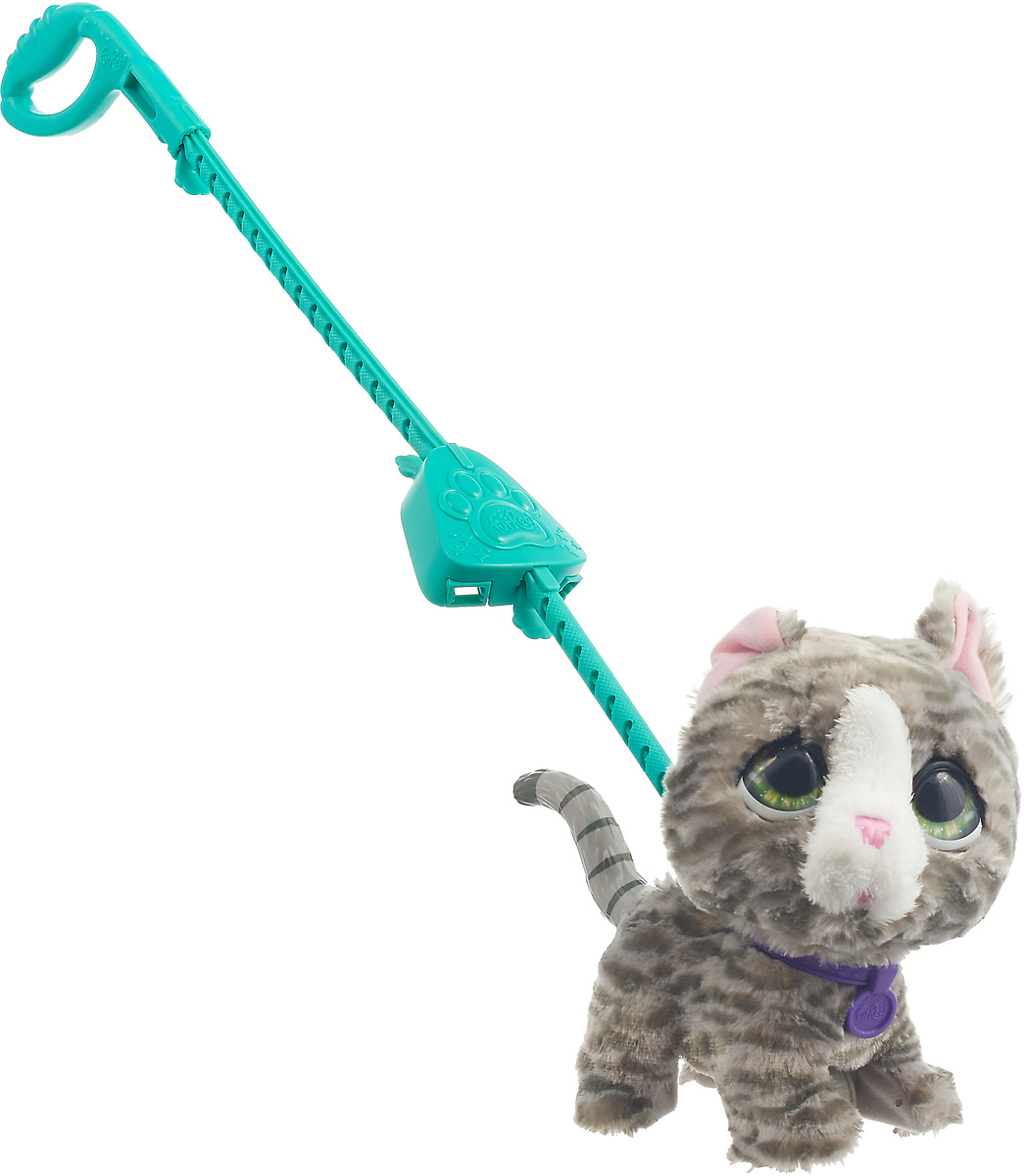 Поводок для кошек для прогулки. Поводок для кошек. Кошка гуляет на поводке. Метаморф на поводке. Человек на поводке.