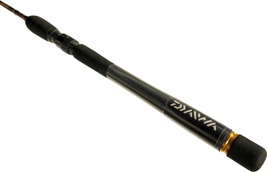 фото Спиннинг Daiwa Legalis Spin, 69900, 3 м, 30-60 г