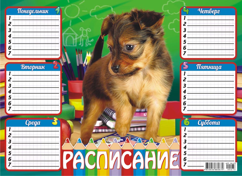 фото Расписание уроков ЛиС А4 (картон) Собака