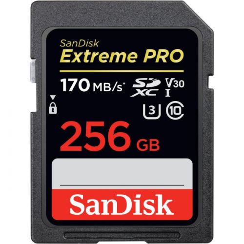 фото Карта памяти SanDisk SDSDXXY-256G-GN4IN