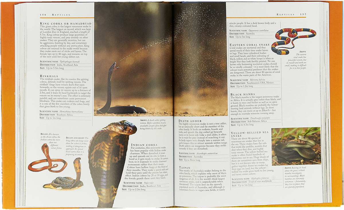 фото The Kingfisher Animal Encyclopedia