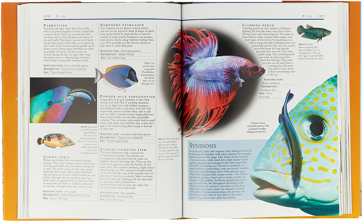 фото The Kingfisher Animal Encyclopedia