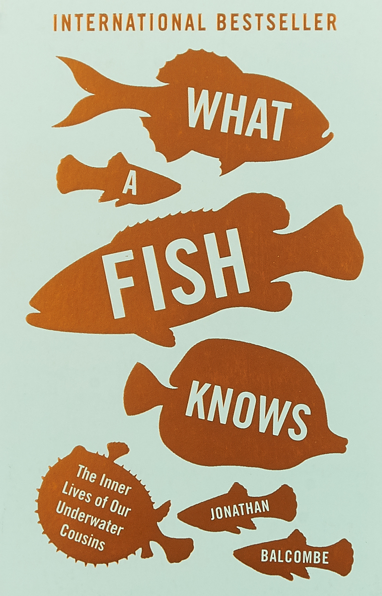 фото WHAT A FISH KNOWS Oneworld publications