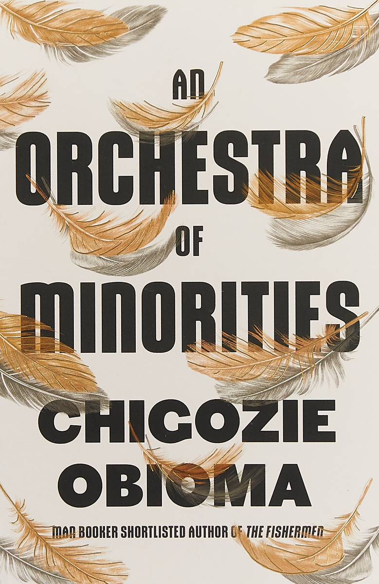 фото An Orchestra of Minorities Little, brown