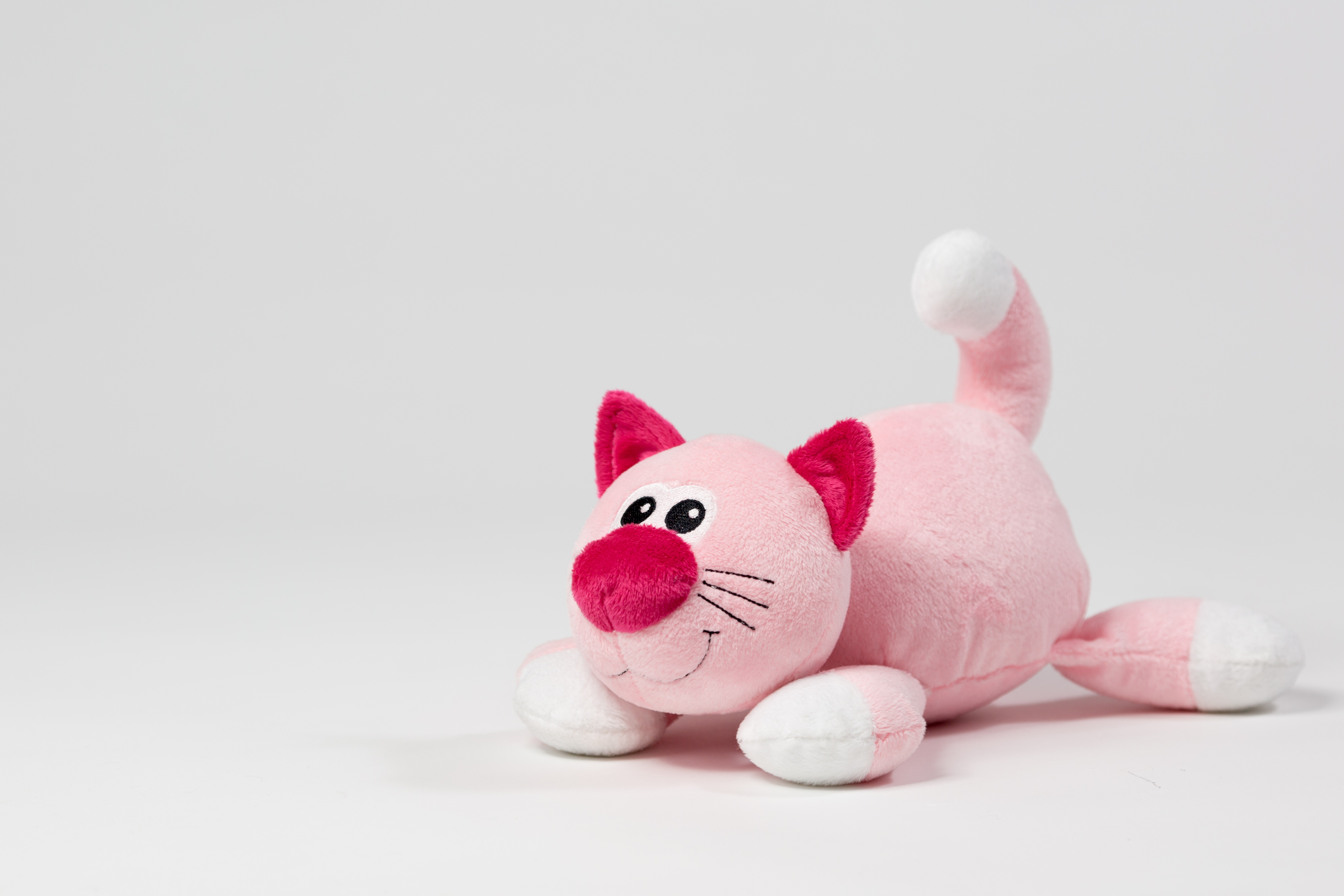 Розовая кошка