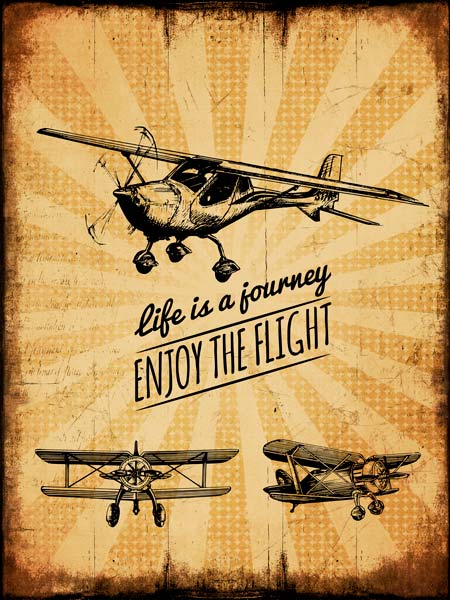 фото Картина Экорамка ENJOY THE FLIGHT 70x90 см, Холст