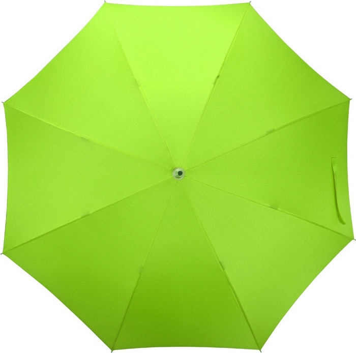 фото Зонт US Basic «Color», 989013, зеленый