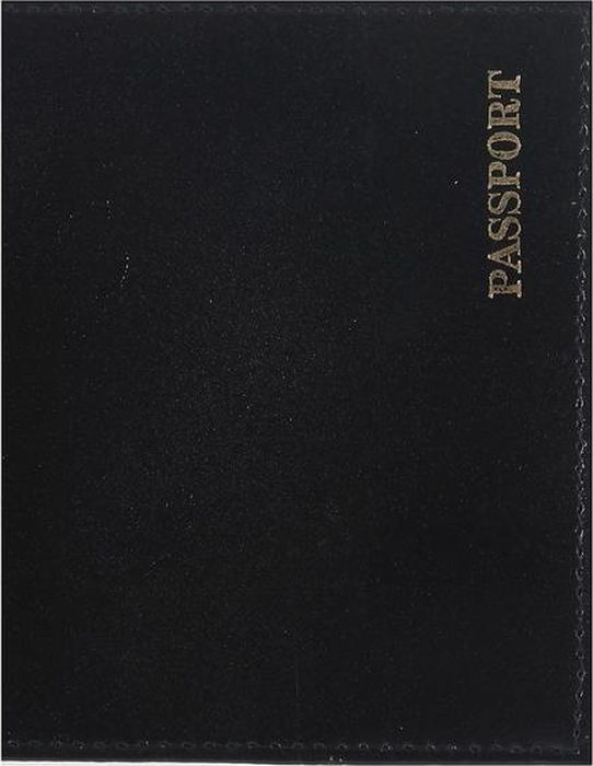 фото Обложка для паспорта Snow