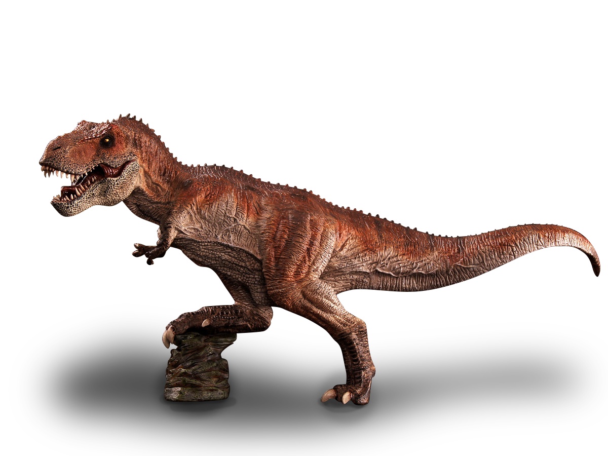 Тирекс король динозавров. Фигурка. Тираннозавр. Фигурка "Тираннозавр рекс XL". Динозавр Тобиас. T-Rex 1/35.