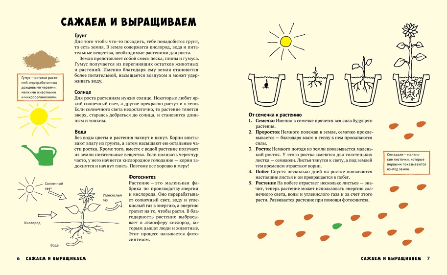 фото Мой первый огород. Посей, собери, съешь