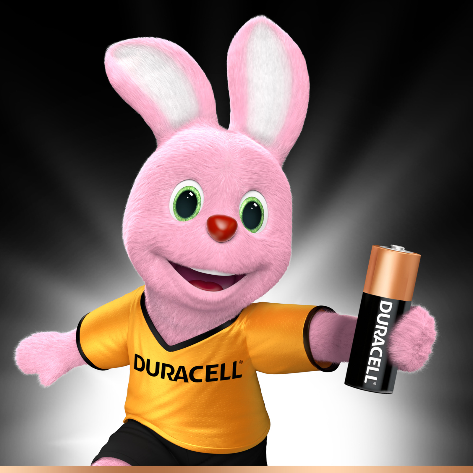 фото Батарейка алкалиновая для сигнализаций Duracell, тип MN21, 1 шт