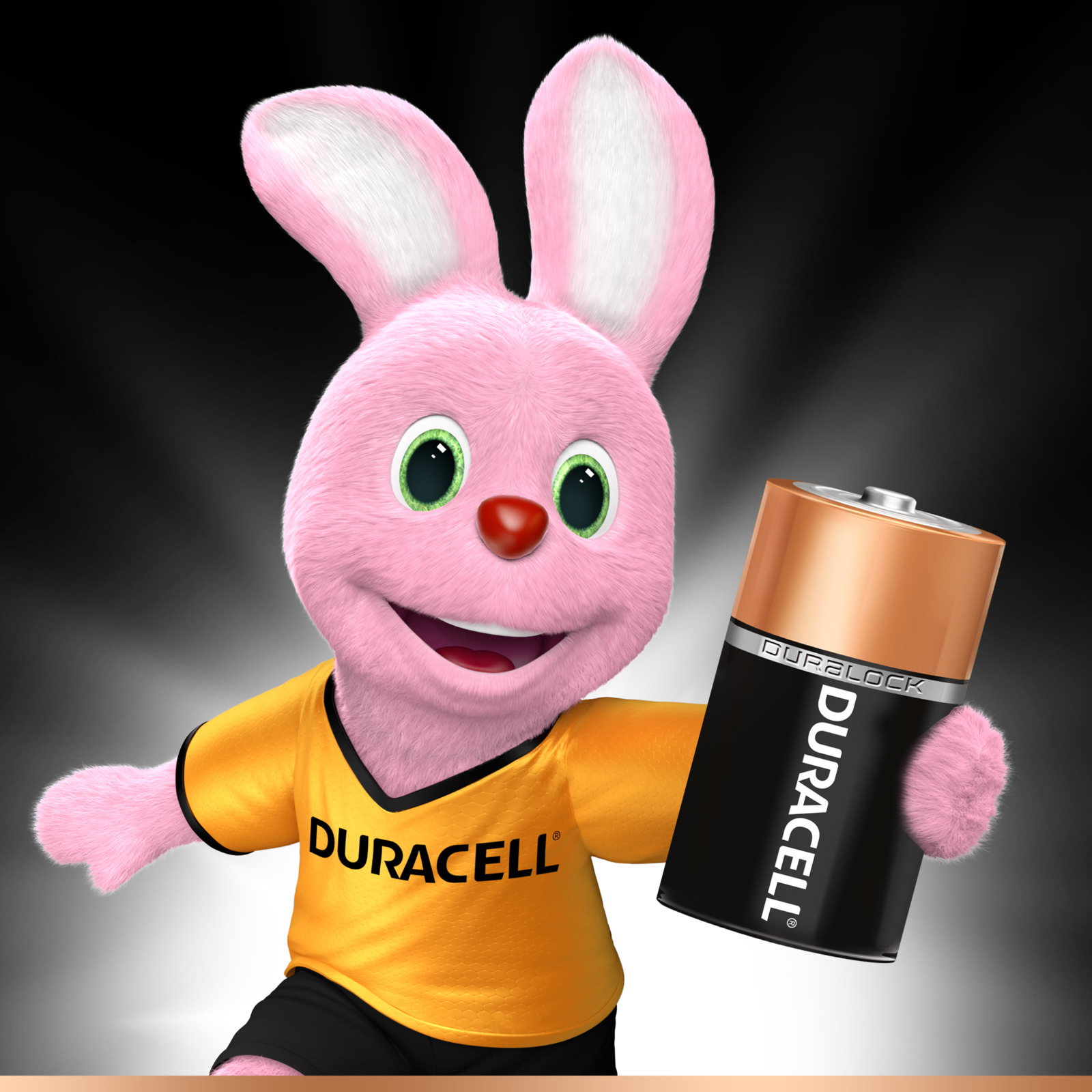 фото Набор батареек Duracell, тип D (LR20), 2 шт