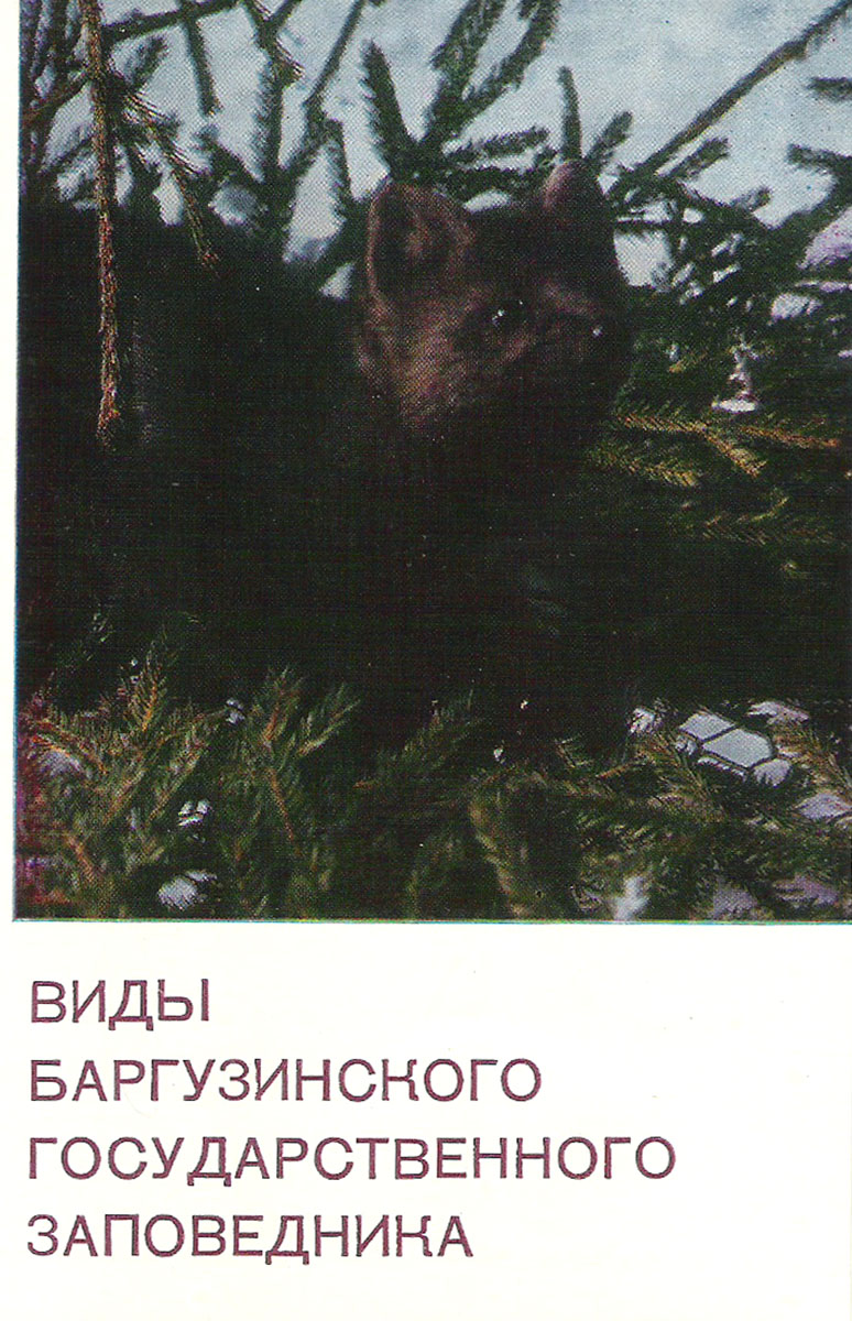 фото Виды Баргузинского государственного заповедника (набор из 12 открыток) Советский художник