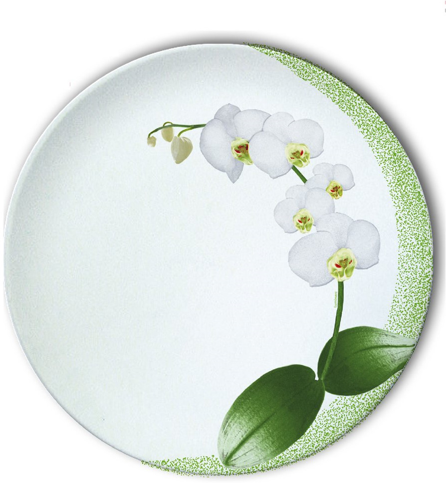 Тарелка десертная Luminarc Уайт Орхид, J7494, белый, зеленый, диаметр 19 см