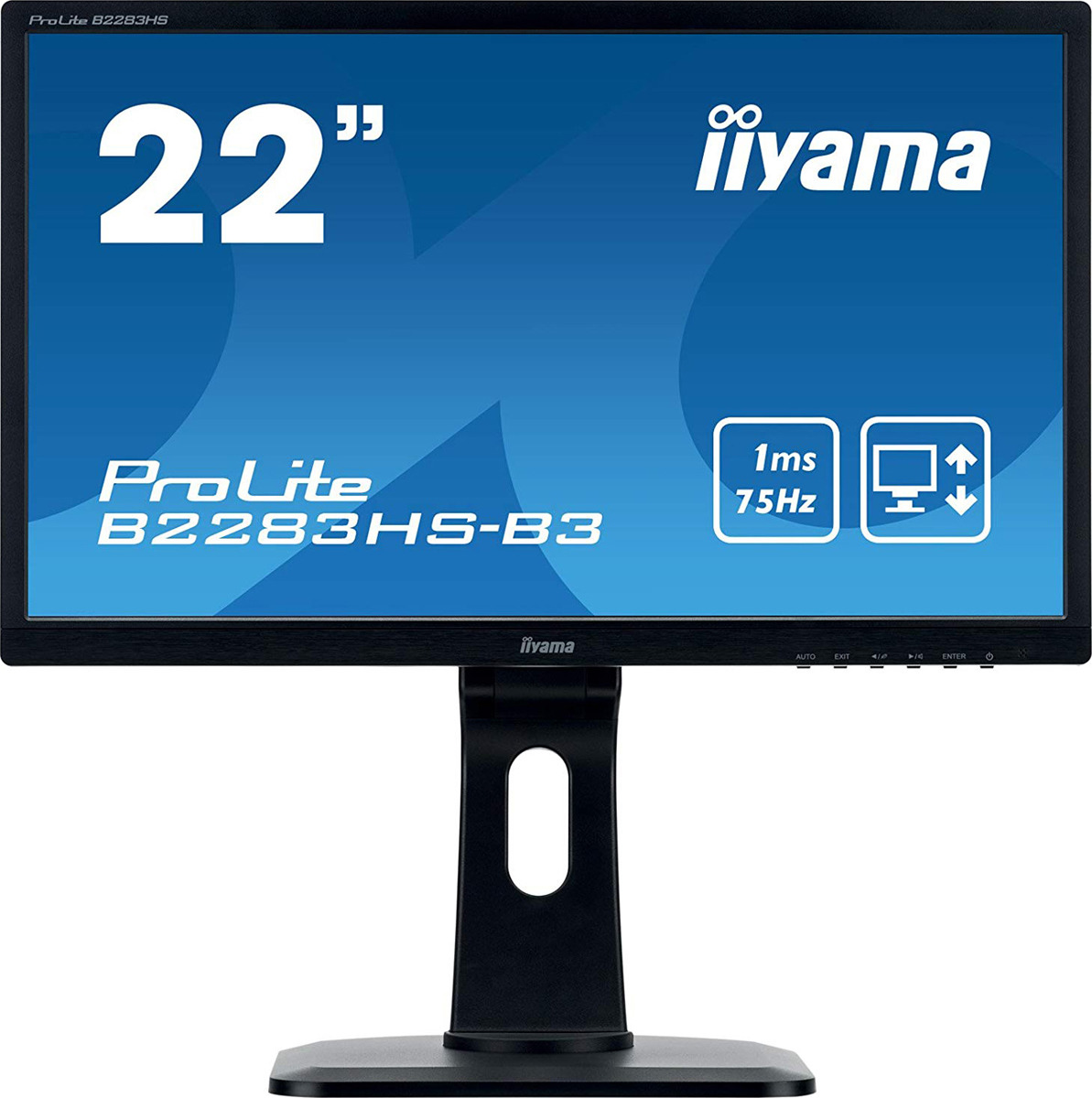 фото Монитор Iiyama 21.5" ProLite B2283HS-B3, черный