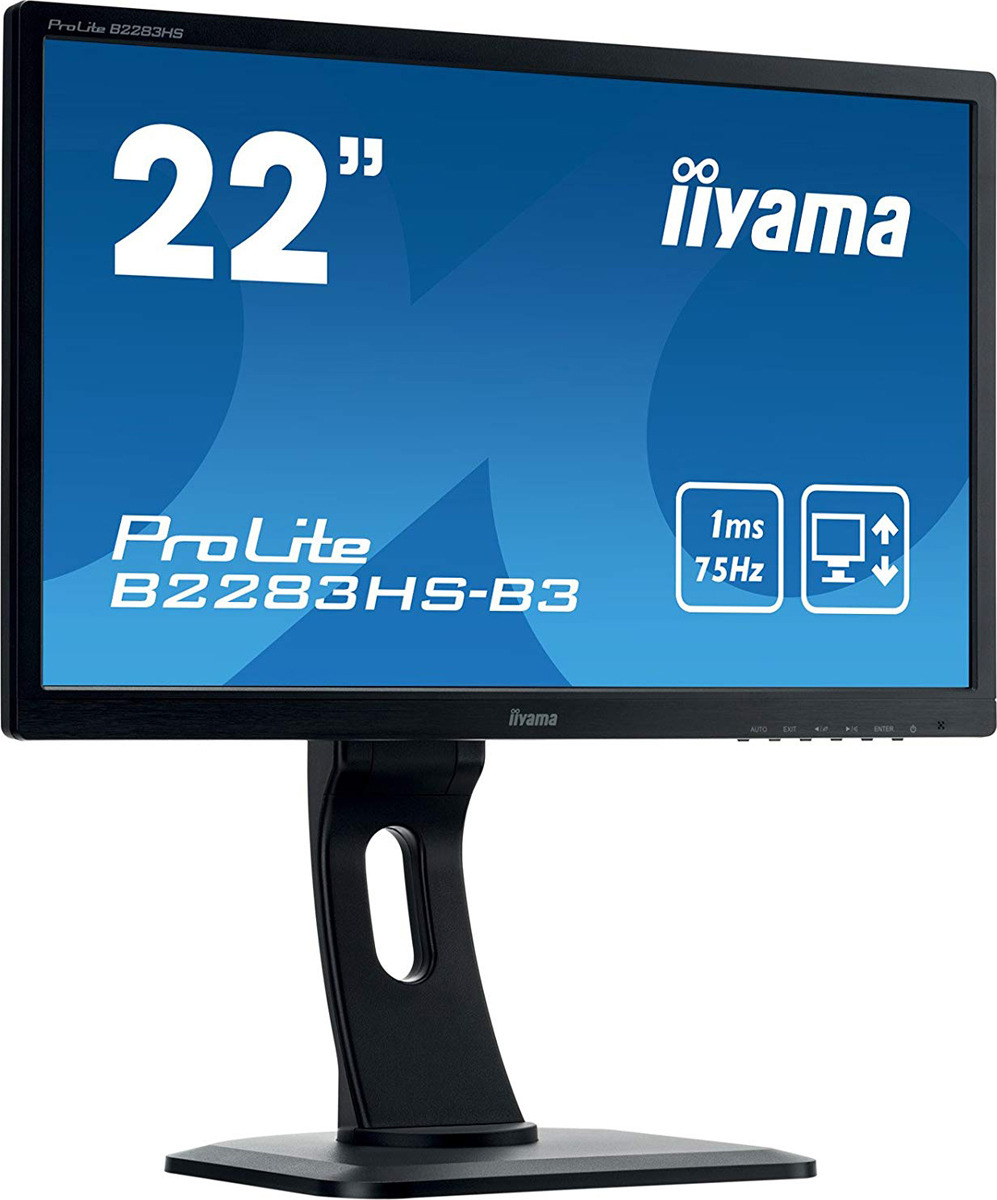 фото Монитор Iiyama 21.5" ProLite B2283HS-B3, черный