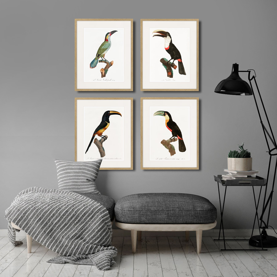 фото Картина Картины В Квартиру Beautiful toucans №3, 1806г., Бумага