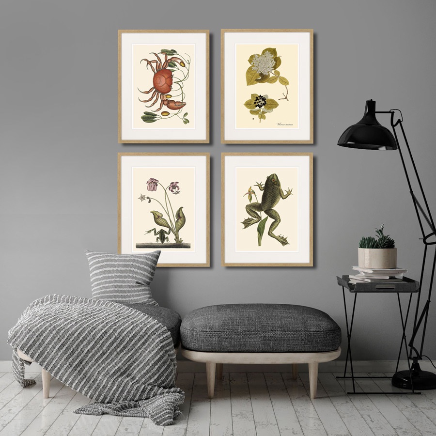 фото Картина Картины В Квартиру Big jumping frog, 1745г., Бумага