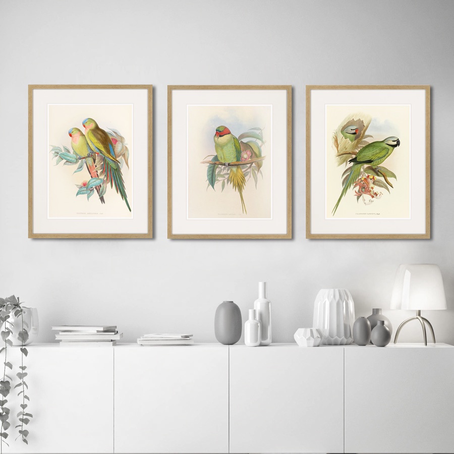 фото Картина Картины В Квартиру Love parrots, 1850г., Бумага