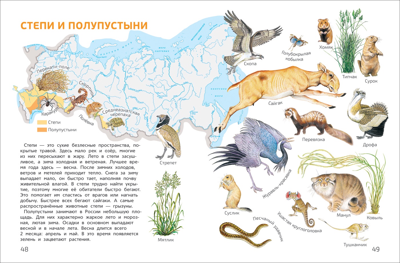 фото Мир и человек. Мой любимый географический атлас