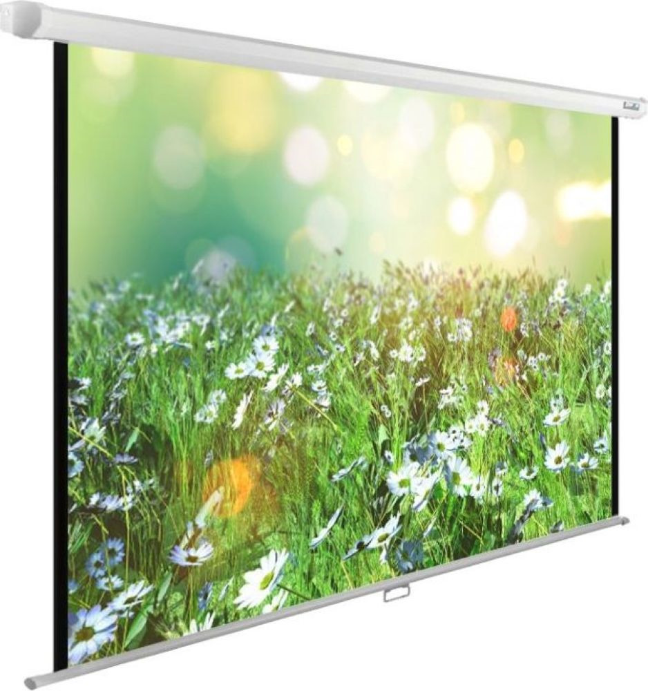 Alr экран cactus. Экран cactus 200x200см wallexpert cs-pswe-200x200-wt 1:1 настенно-потолочный рулонный. cactus cs-pswe-200x200-wt. экран cactus cs-psm-150x150. экран cactus wallscreen pswe 200 wt.