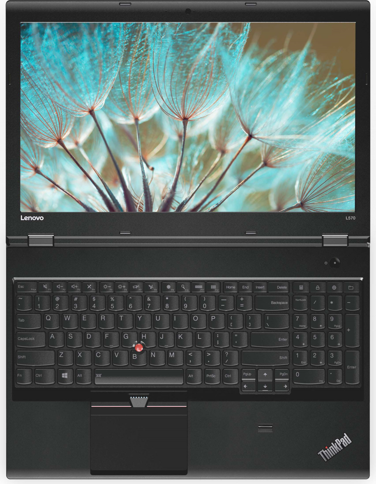 фото Ноутбук Lenovo ThinkPad L570, 20JRS2QM00, 15.6", черный