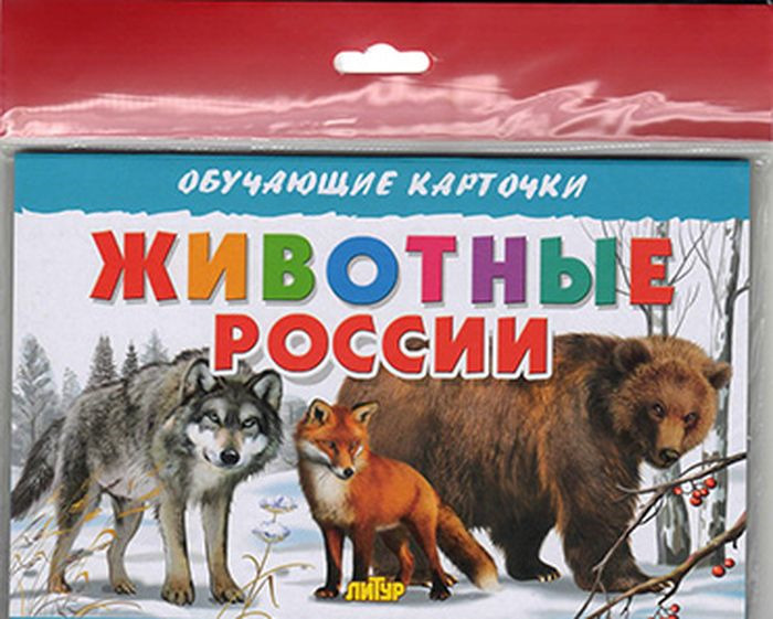 фото Животные России. Обучающие карточки