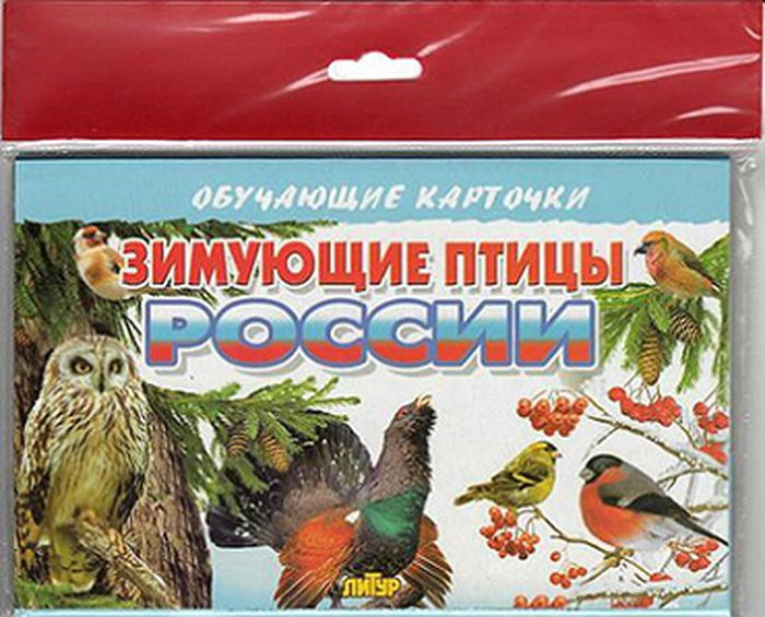фото Зимующие птицы России. Обучающие карточки